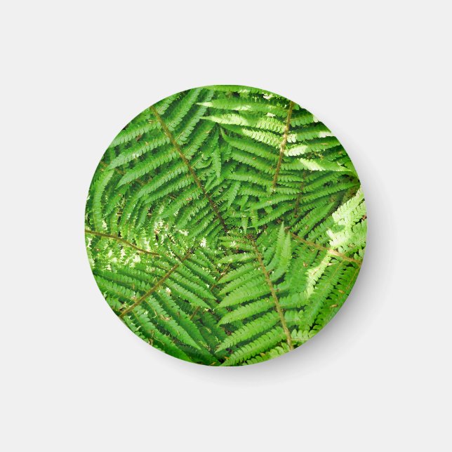 Woodland Ferns Magnet (Front)