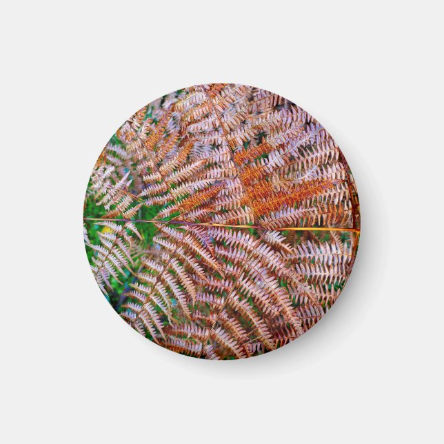 Woodland Ferns Magnet (Front)