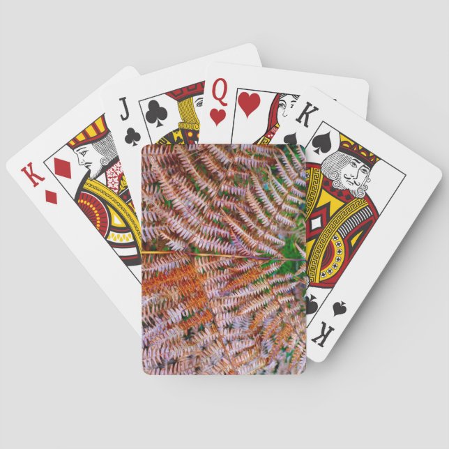 Woodland Ferns Playing Cards (Back)