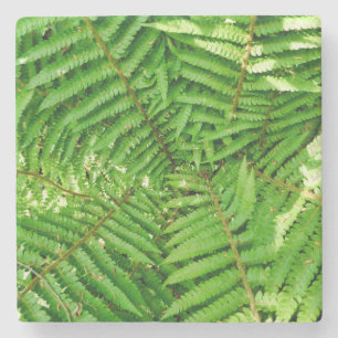 Woodland Ferns Stone Coaster
