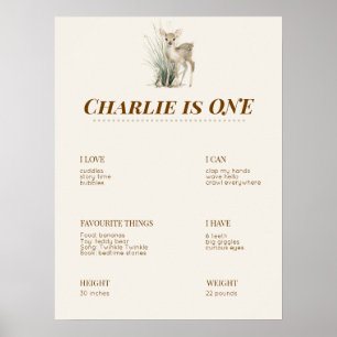 Woodland First Birthday Milestone Board Poster