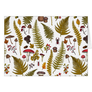 Woodland flora and fauna 2