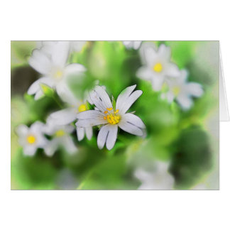 WOODLAND FLOWERS