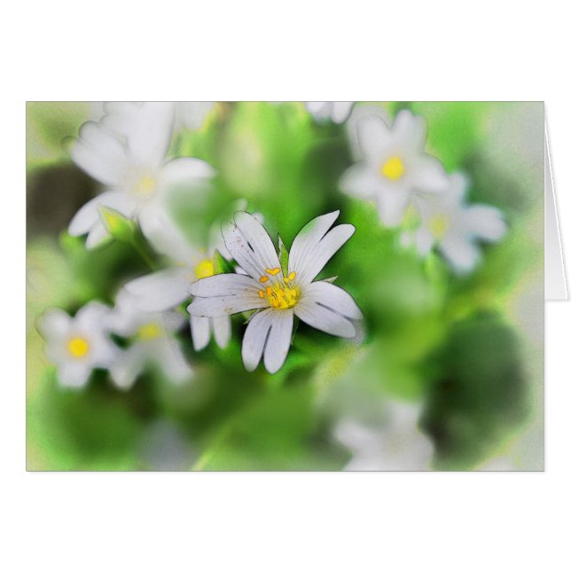 WOODLAND FLOWERS (Front Horizontal)