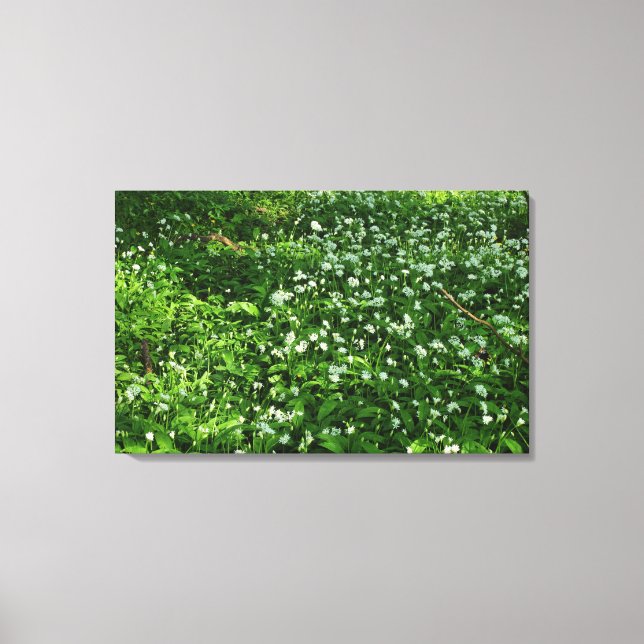 Woodland Flowers Canvas Print (Front)