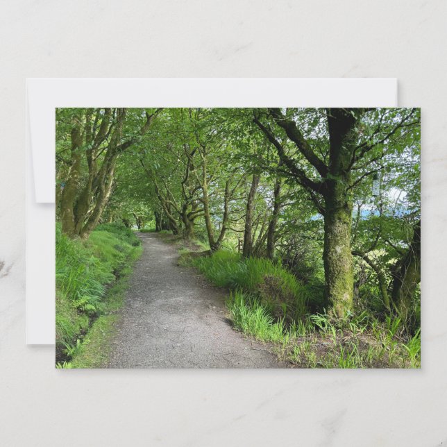 Woodland Footpath on Isle of Bute Scotland on a Holiday Card (Front)