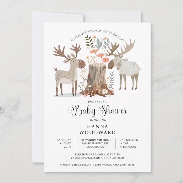 Woodland Forest Animals Twins Baby Shower Invitation (Front)