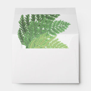 Woodland forest green ferns forest ferns envelopes