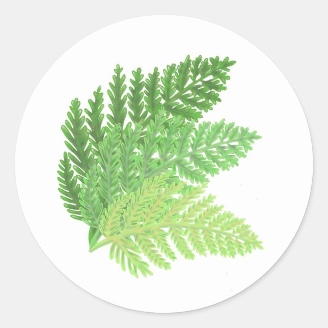 Woodland forest green ferns forest ferns leaves classic round sticker (Front)