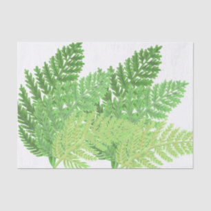 Woodland forest green ferns forest ferns tissue paper