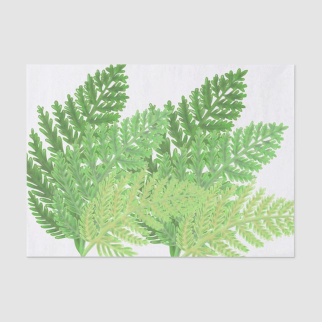 Woodland forest green ferns forest ferns tissue paper (Front)