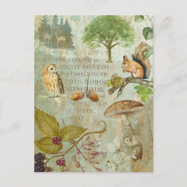 Woodland Forest Wildlife Squirrel, Owl, Autumnal J Postcard (Front)
