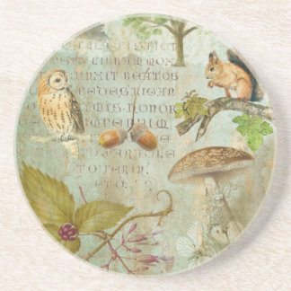 Woodland Forest Wildlife Squirrel, Owl, Autumnal S Coaster