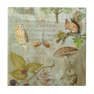 Woodland Forest Wildlife Squirrel, Owl, Autumnal S Tile