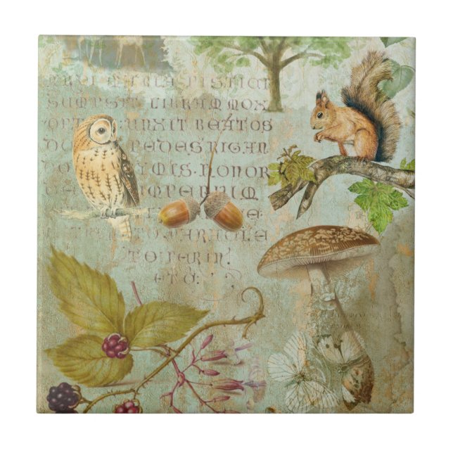 Woodland Forest Wildlife Squirrel, Owl, Autumnal S Tile (Front)