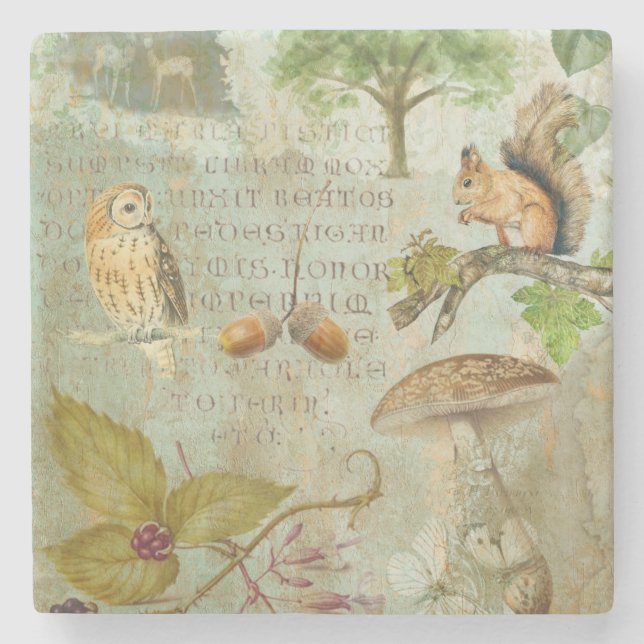 Woodland Forest Wildlife Squirrel, Owl, Autumnal Stone Coaster (Front)