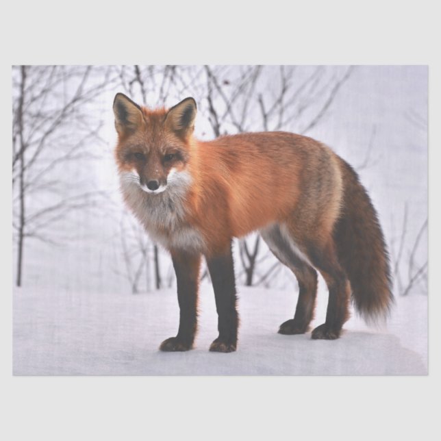 woodland fox tissue paper (Front)