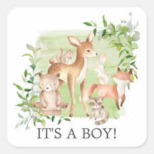 Woodland Friends It' a Boy Favour Sticker