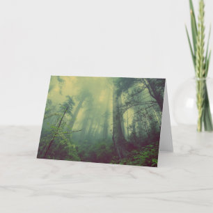 Woodland From Below Card