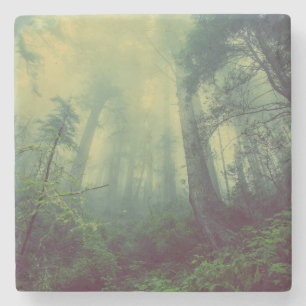 Woodland From Below Stone Coaster