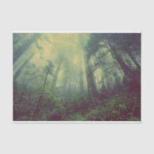 Woodland From Below Tissue Paper