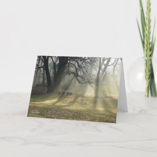 Woodland Halo note card