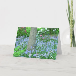 WOODLAND HILLSIDE COVERED WITH BLUE WILD FLOWERS CARD