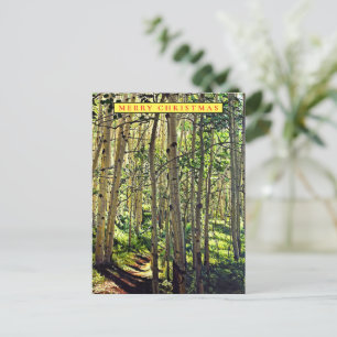 Woodland in the Aspens Holiday Card