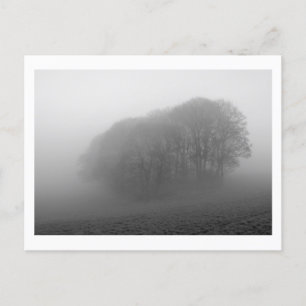 Woodland in the Mist: Cheshire, England Postcard