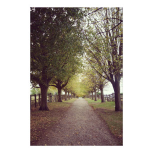 Woodland line of trees photo print