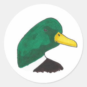 Woodland Mallard Duck Classic Round Sticker