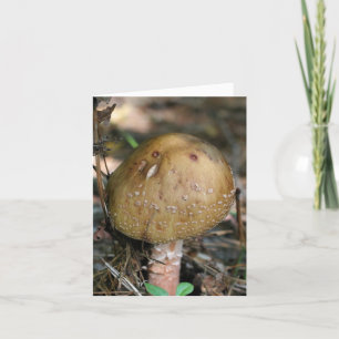 Woodland Mushroom Nature Photography  Note Card