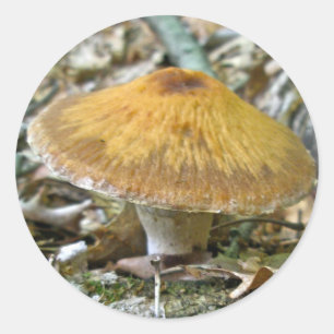 Woodland Mushrooms Coordinating Items Classic Round Sticker