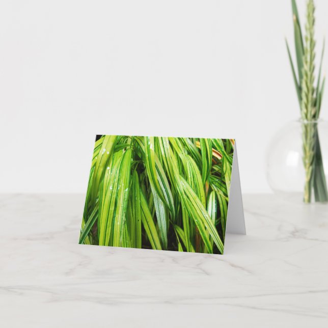 Woodland Note Card - Japanese Forest Grass (Front)