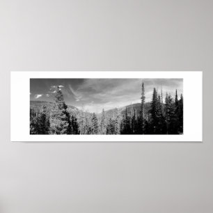 Woodland Panoramic Black and White Photography Poster