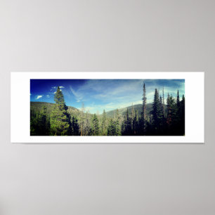 Woodland Panoramic Color Photography Poster