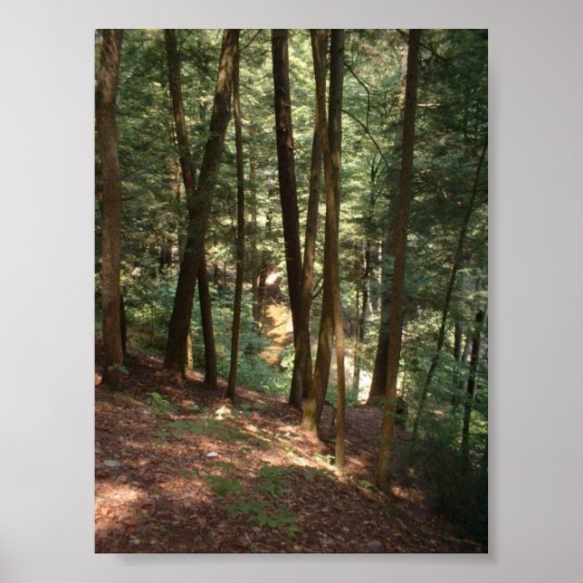 Woodland Paradise Poster (Front)