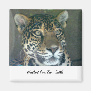 Woodland Park Zoo Cat Magnet