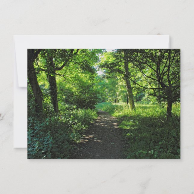 Woodland Path. Blackweir Woods, Cardiff, Wales. Card (Front)