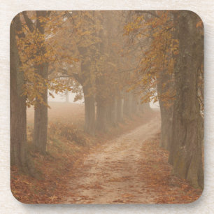 Woodland Path Lined by Autumn Trees Coaster