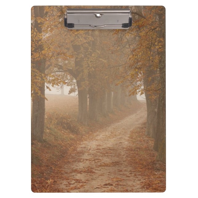 Woodland Path Lined by Autumn Trees Photo Clipboard (Front)