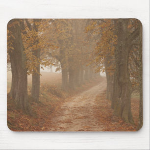 Woodland Path Lined by Autumn Trees Photo Mouse Mat