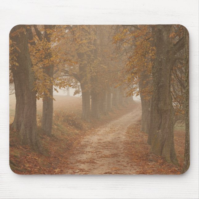 Woodland Path Lined by Autumn Trees Photo Mouse Mat (Front)