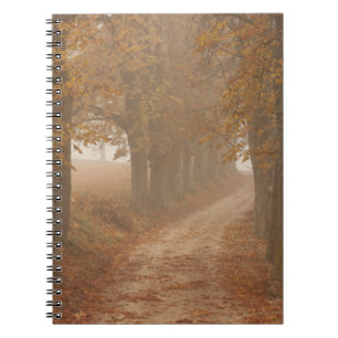 Woodland Path Lined by Autumn Trees Photo Notebook