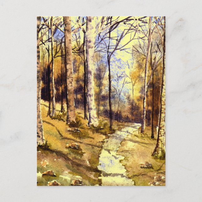 'Woodland Path' Postcard (Front)