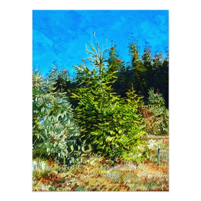 WOODLAND PHOTO PRINT (Front)