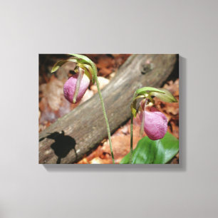 Woodland Pink Wild Lady Slipper Orchid Flowers Canvas Print
