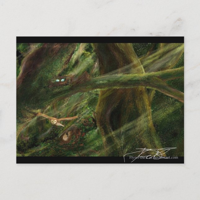 Woodland Postcard (Front)