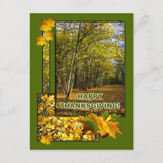 WOODLAND  ~ Postcard (Front)