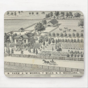 Woodland residences, farms mouse mat